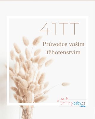 ✨ 41. týden těhotenství – stále čekáte na ten největší okamžik! 👶💛 Tvůj drobeček si možná dává načas, ale ještě pár dní...