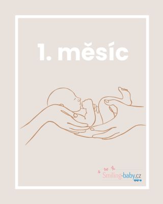 ✨ První měsíc života miminka – seznamujete se, tulíte se, zvykáte si na sebe ❤️ Váš malý uzlíček je konečně tady – a...